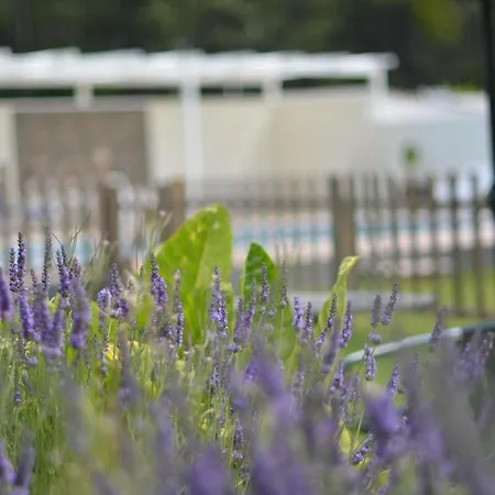 Hotel Cachada Sanxenxo