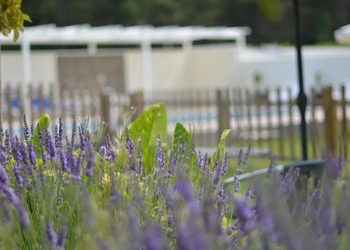 Otel Cachada Sanxenxo